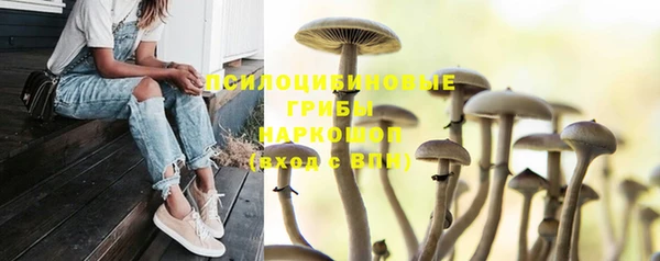МДПВ Бугульма