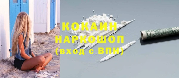 MESCALINE Бородино