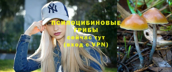 MESCALINE Бородино